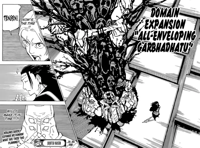 Jujutsu Kaisen Chapter 205 image 17_optimized